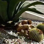 Relax 3* Porto Cesareo