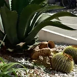 Alojamento de Acomodação e Pequeno-almoço Relax