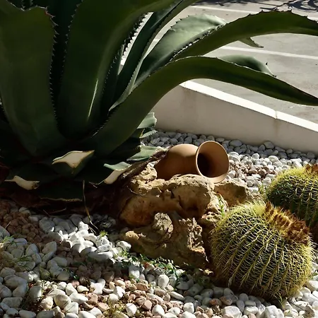 Relax 3* 포르토 세자레오